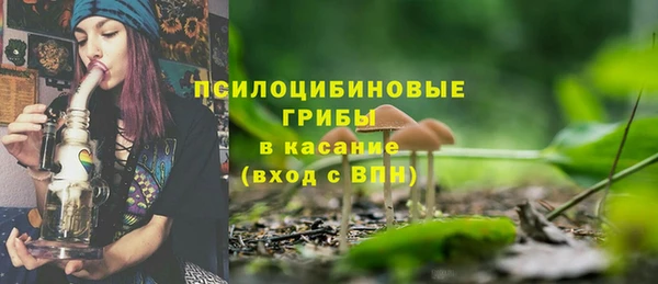 МДПВ Аркадак