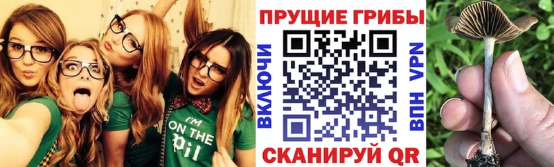 Галлюциногенные грибы Magic Shrooms Куса