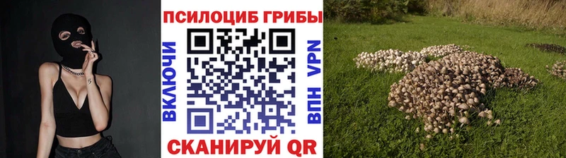 Галлюциногенные грибы мухоморы  Купить  Куса 